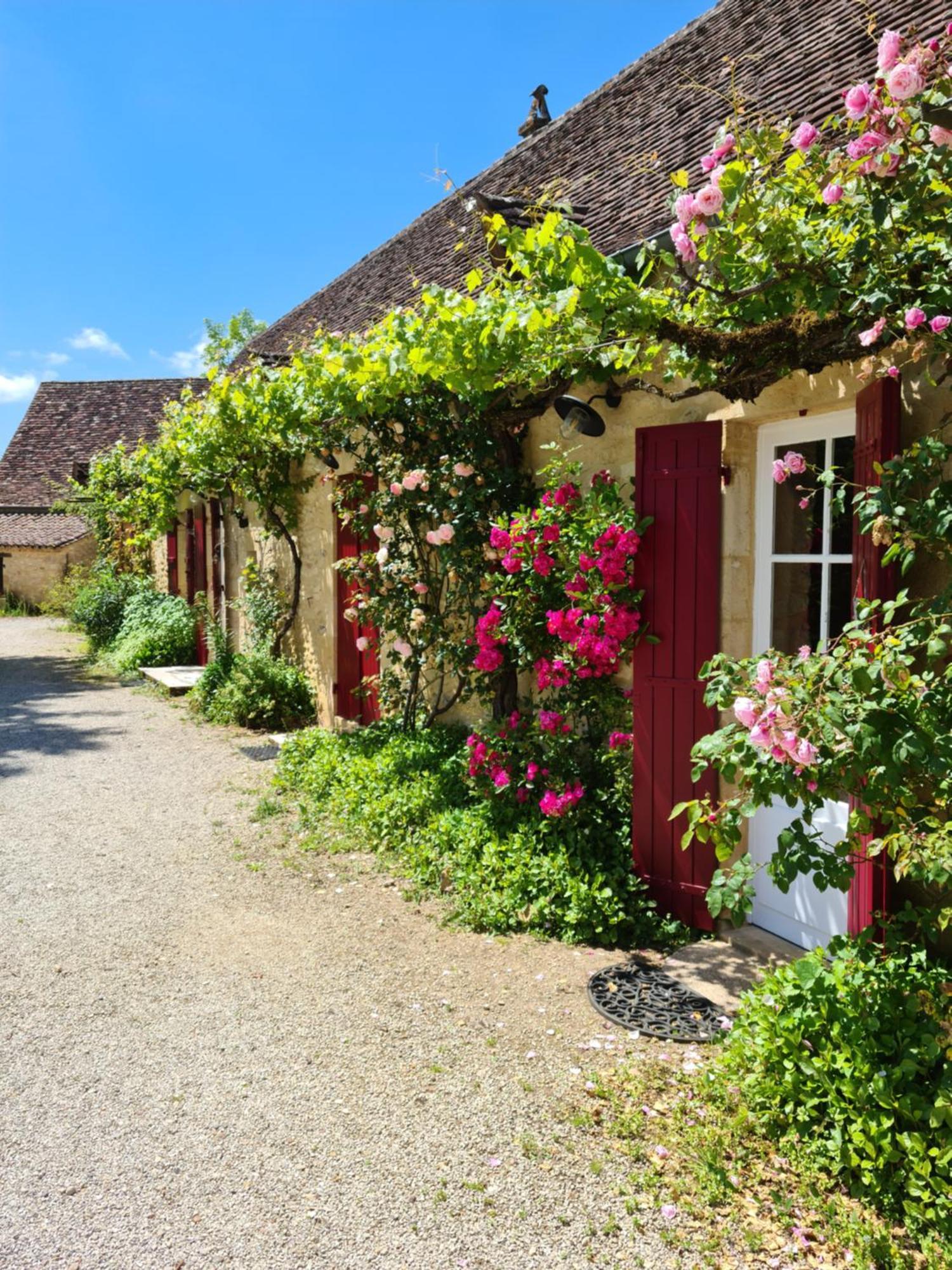 La Ferme De L'Embellie Gites Et Chambres D'Hotes Le Buisson-de-Cadouin Εξωτερικό φωτογραφία
